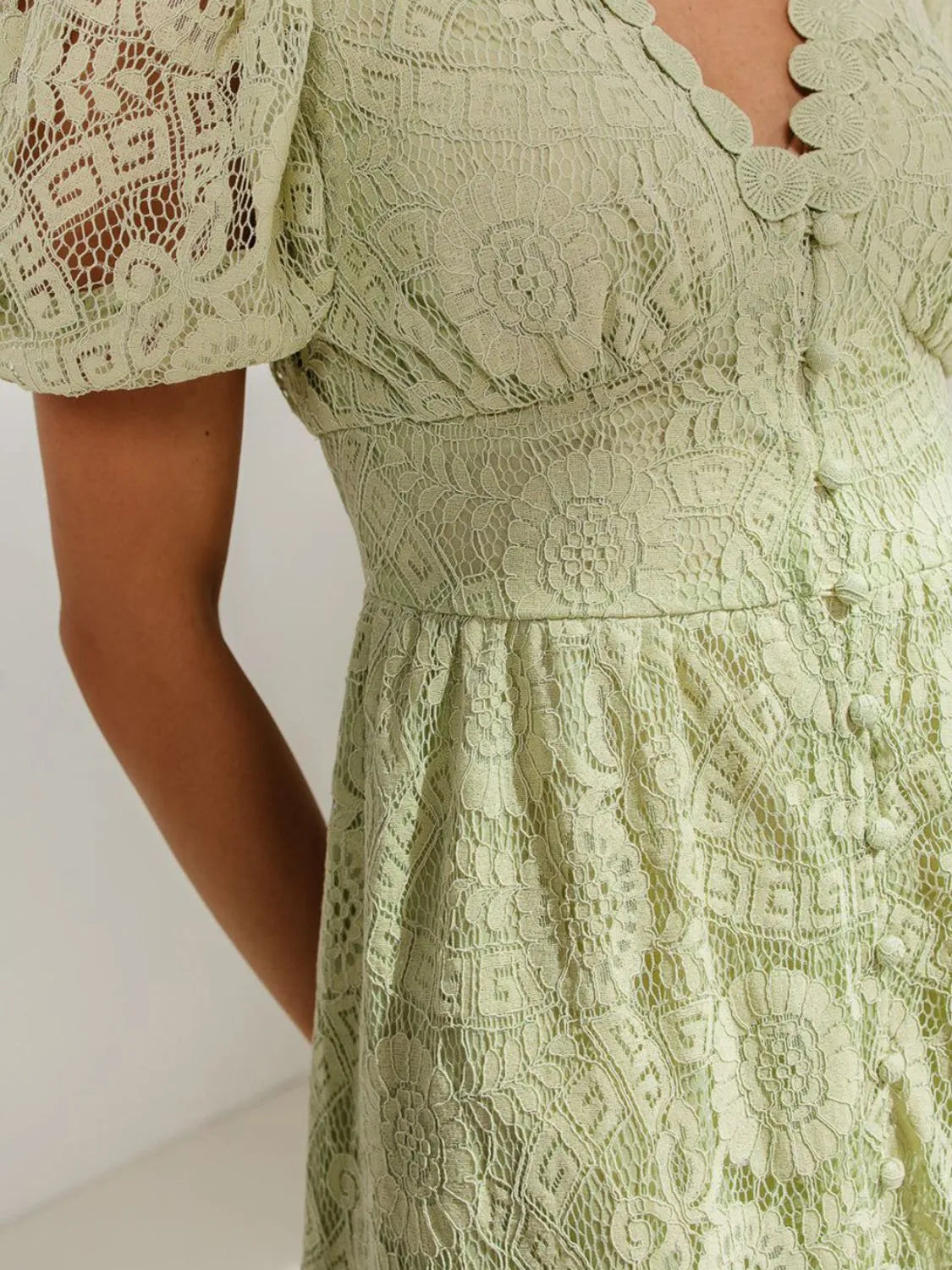 Lace V-Neck Short Sleeve Dress.