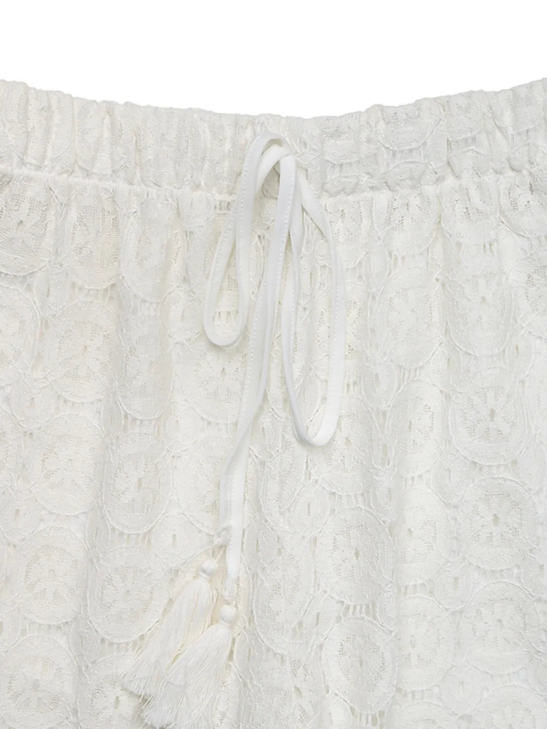 Lace wide leg pants, sheer mesh style.