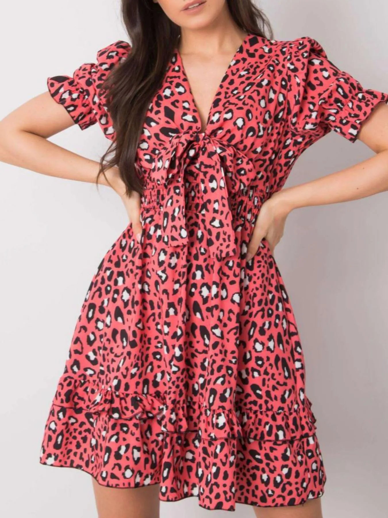 Leopard Print Tie Front Short Sleeve Mini Dress.