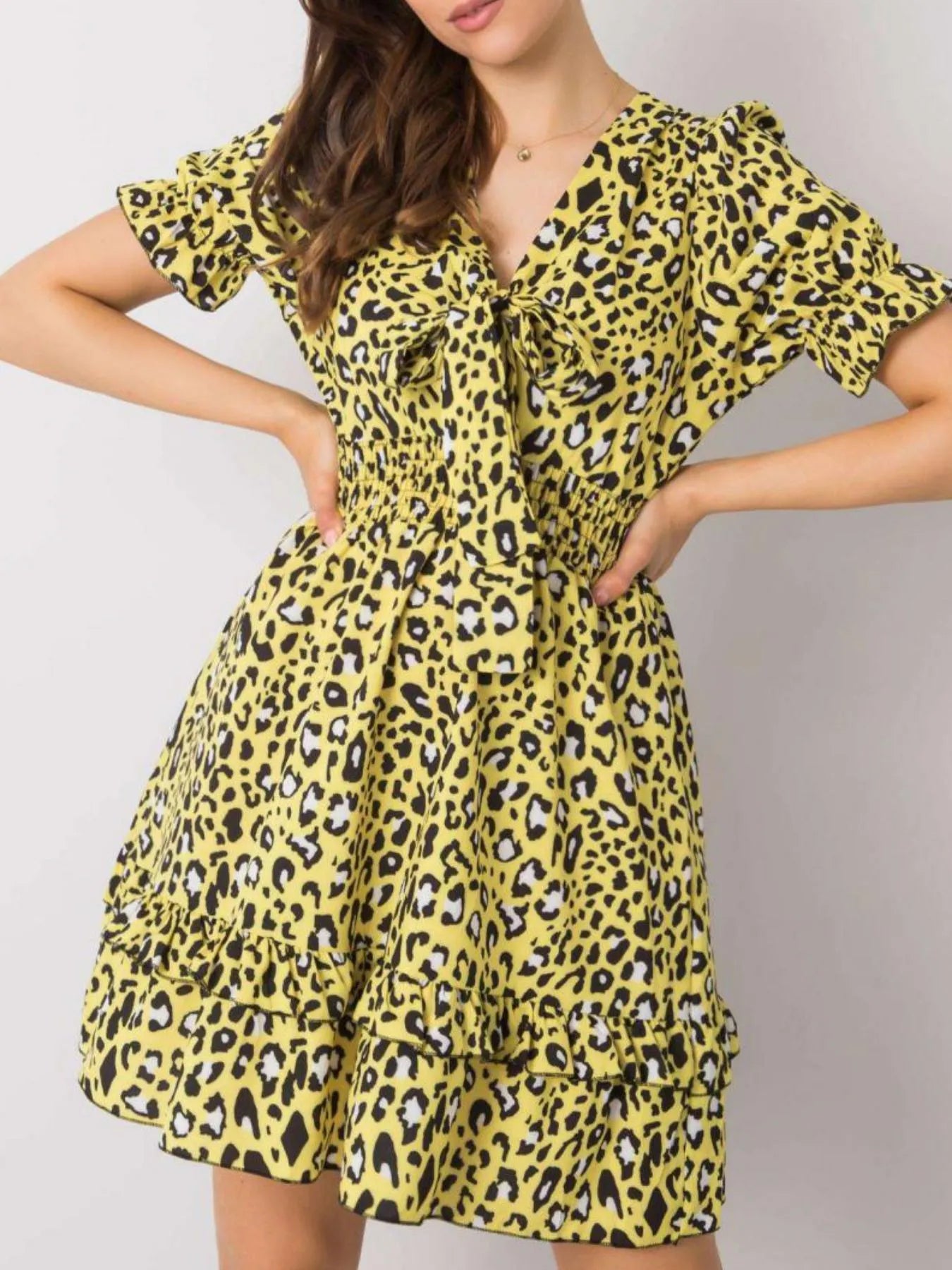 Leopard Print Tie Front Short Sleeve Mini Dress.