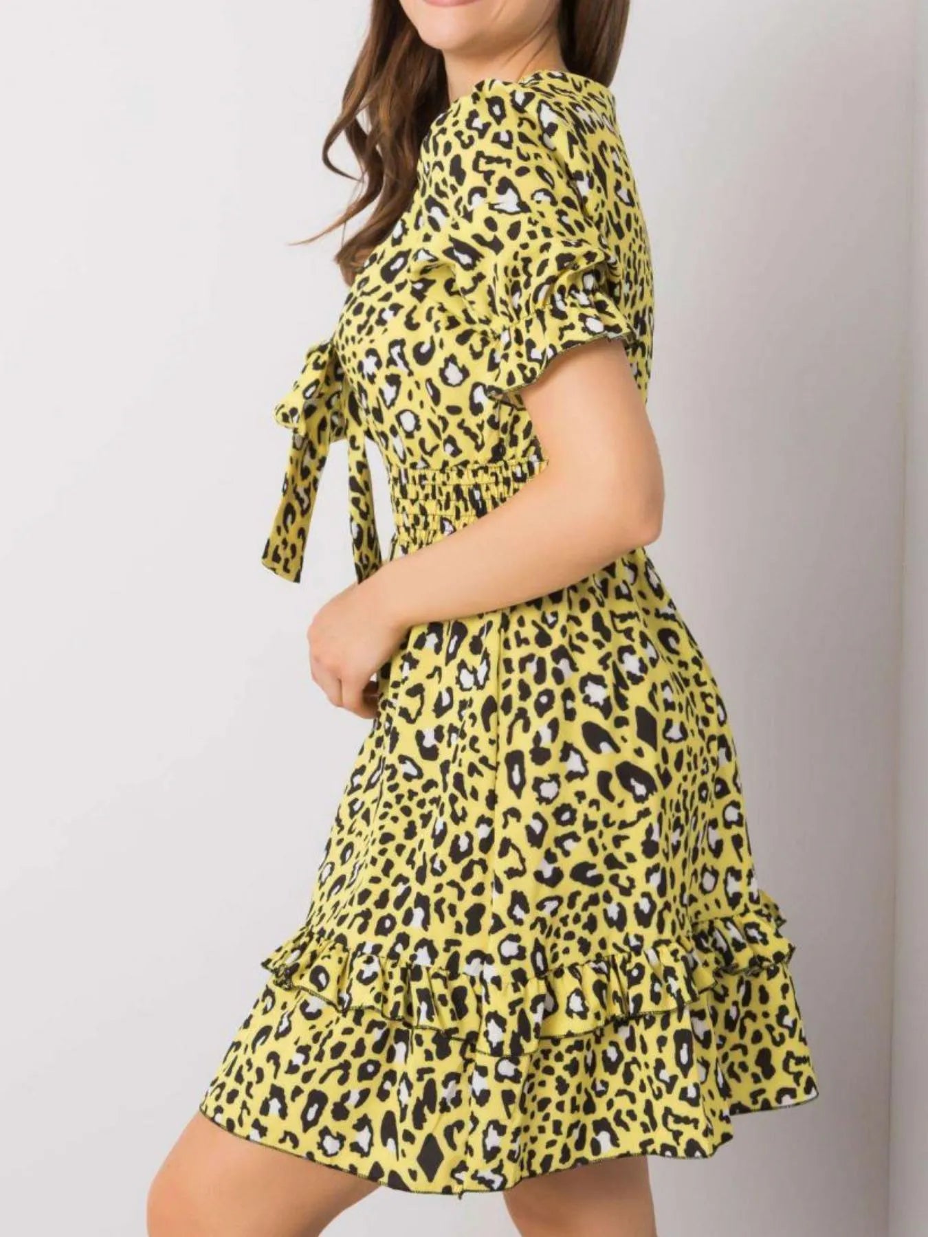 Leopard Print Tie Front Short Sleeve Mini Dress.