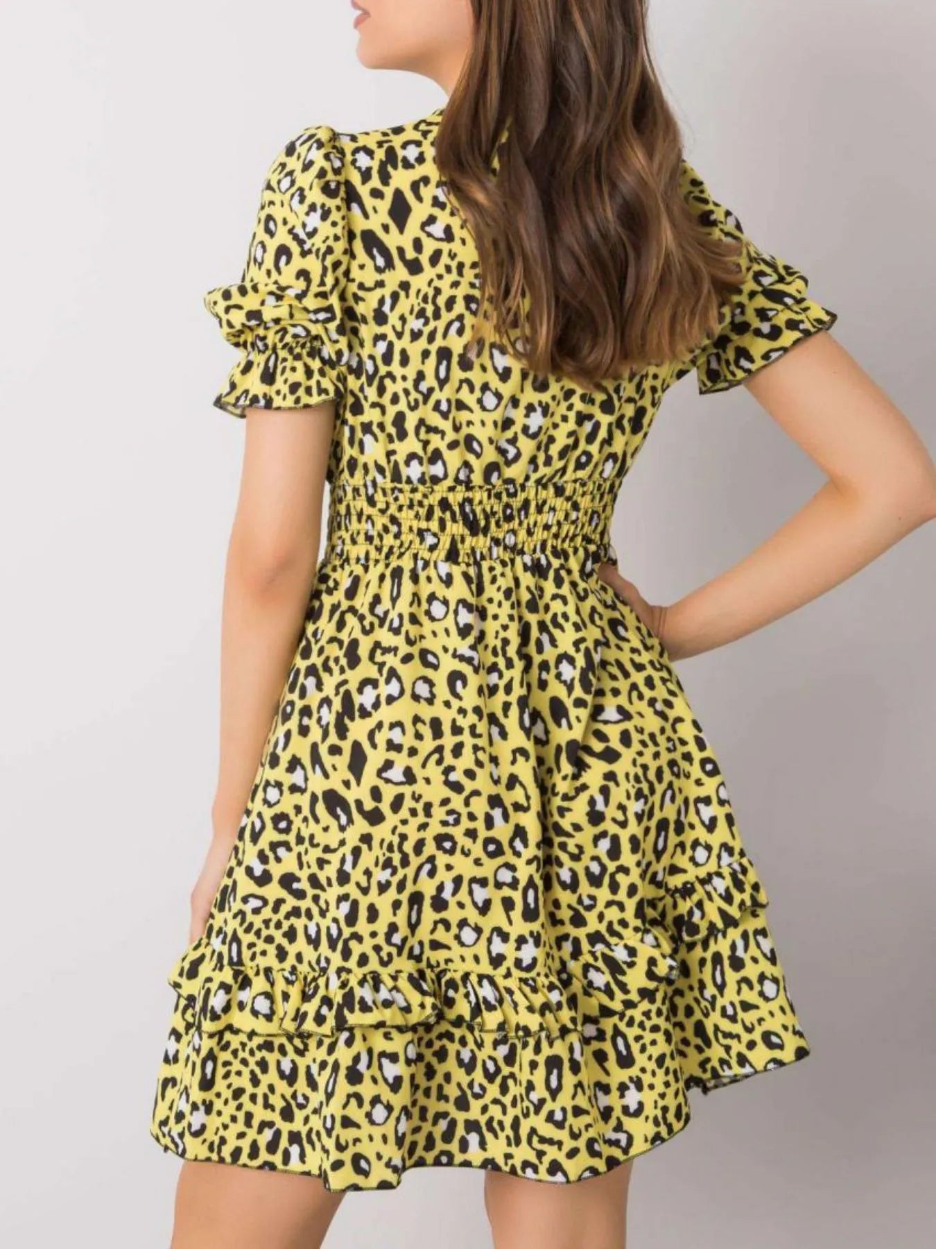 Leopard Print Tie Front Short Sleeve Mini Dress.