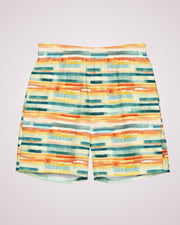 Mens Swim Trunks - Barbara IV