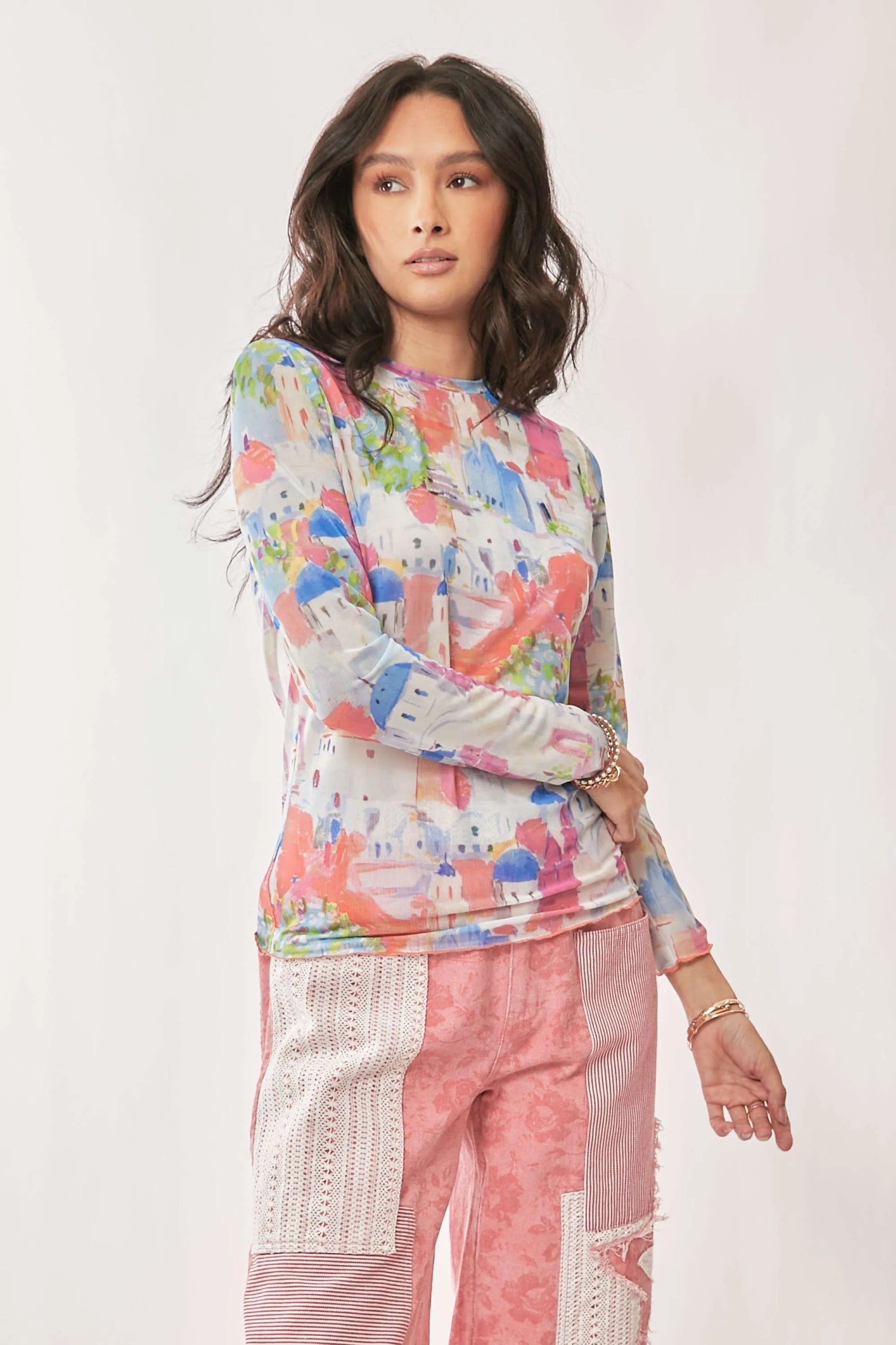 Davi Dani Multi Printed Mesh Round Neck Long Sleeve Top.