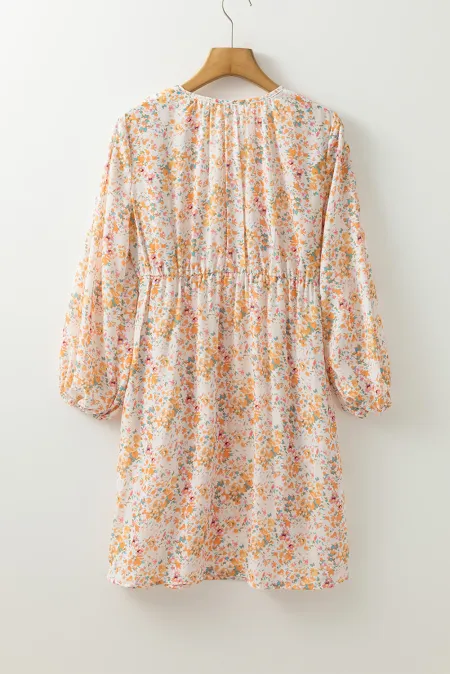 Printed V-Neck Balloon Sleeve Mini Dress.