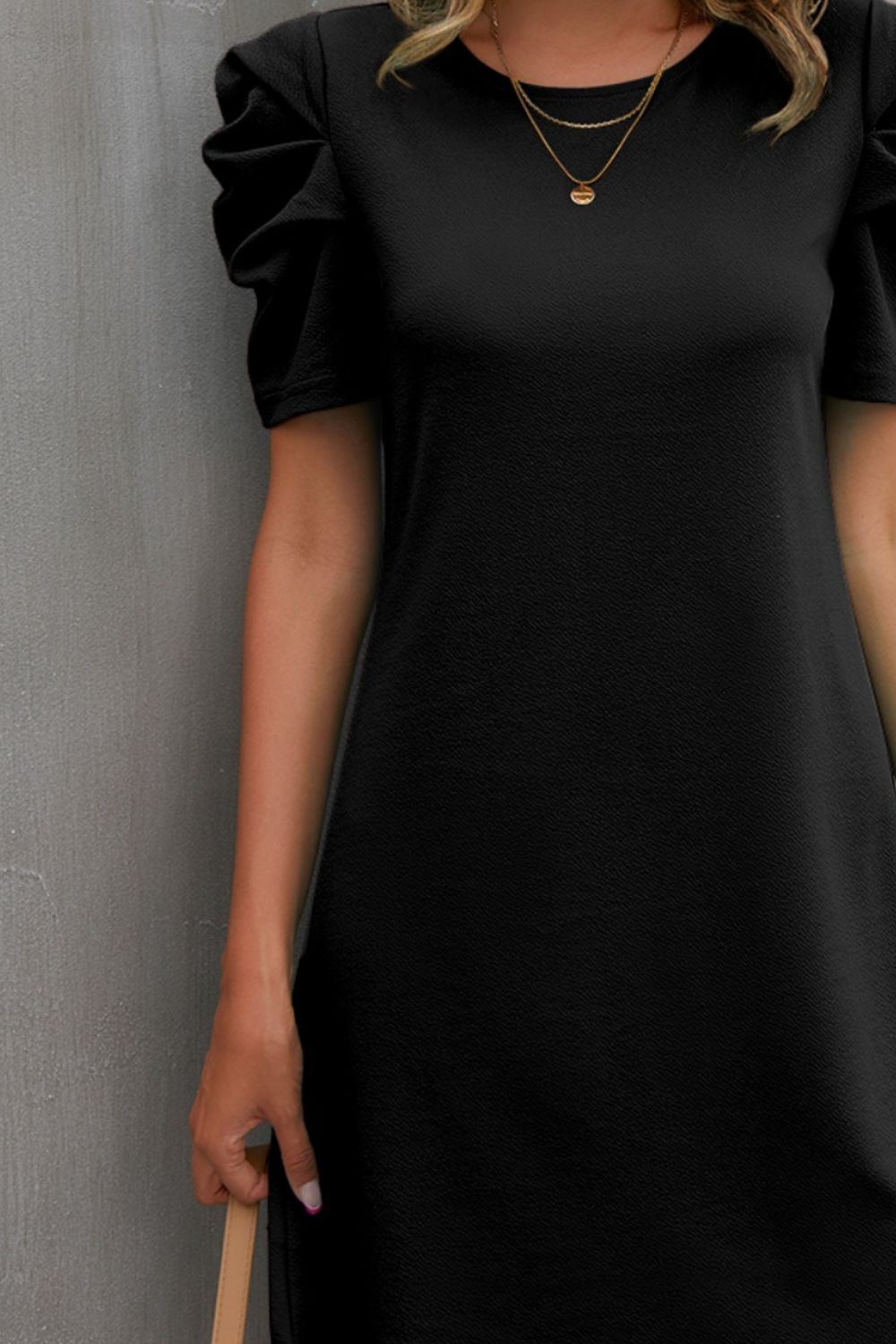 Fam Fam Round Neck Puff Sleeve Mini Dress.