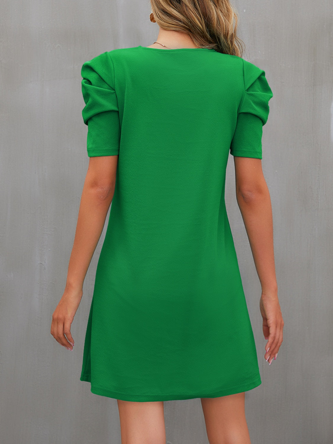 Fam Fam Round Neck Puff Sleeve Mini Dress.