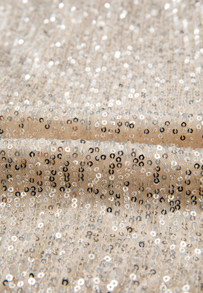 Sequin Surplice Long Sleeve Bodysuit with Sequin.