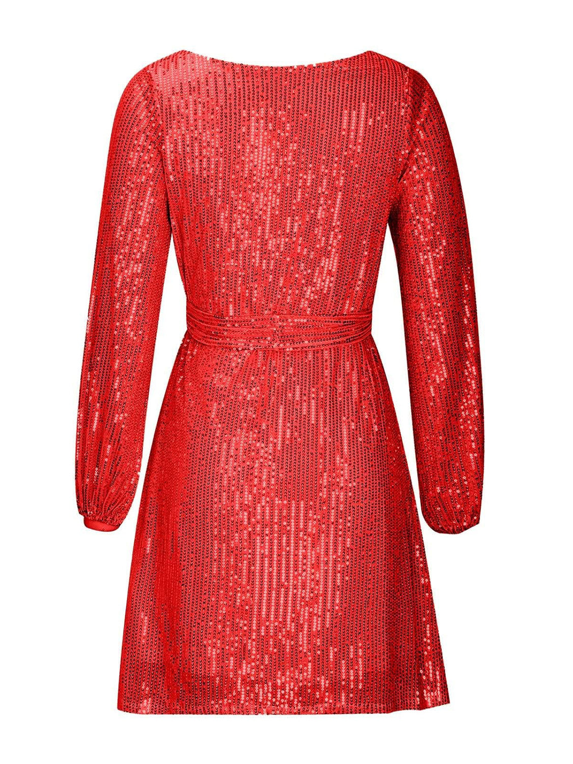 Sequin Tie Waist Long Sleeve Mini Dress.