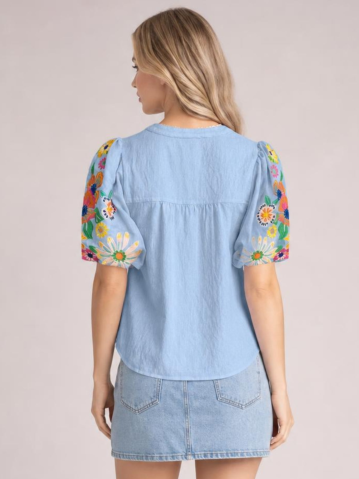 Embroidered Tie Neck Short Sleeve Blouse · Rule Full Body - Back View