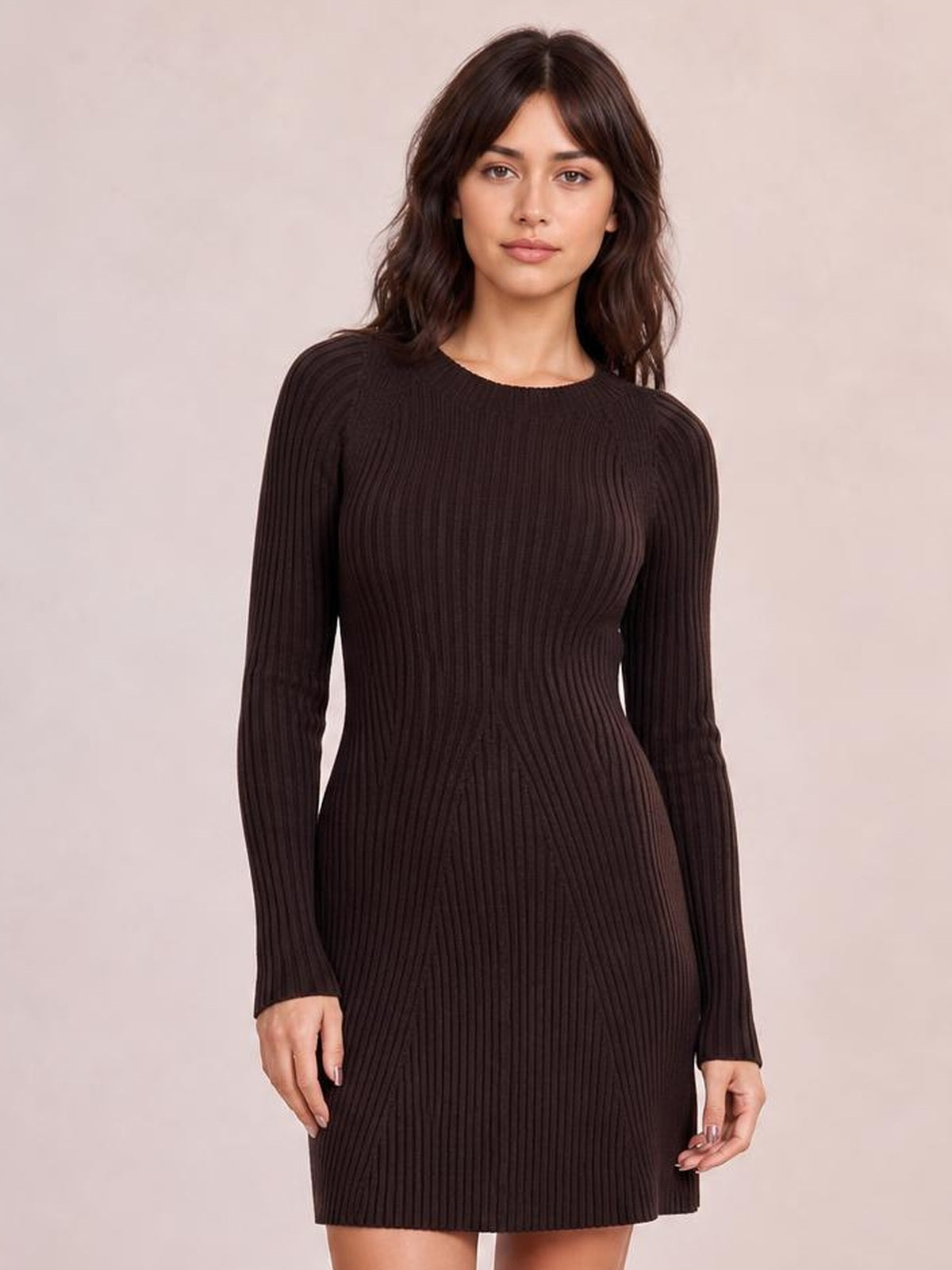 Model wears a dark brown long sleeve ribbed knit dress with a round neckline, fitted waist, stretchy textured construction, and short straight skirt.