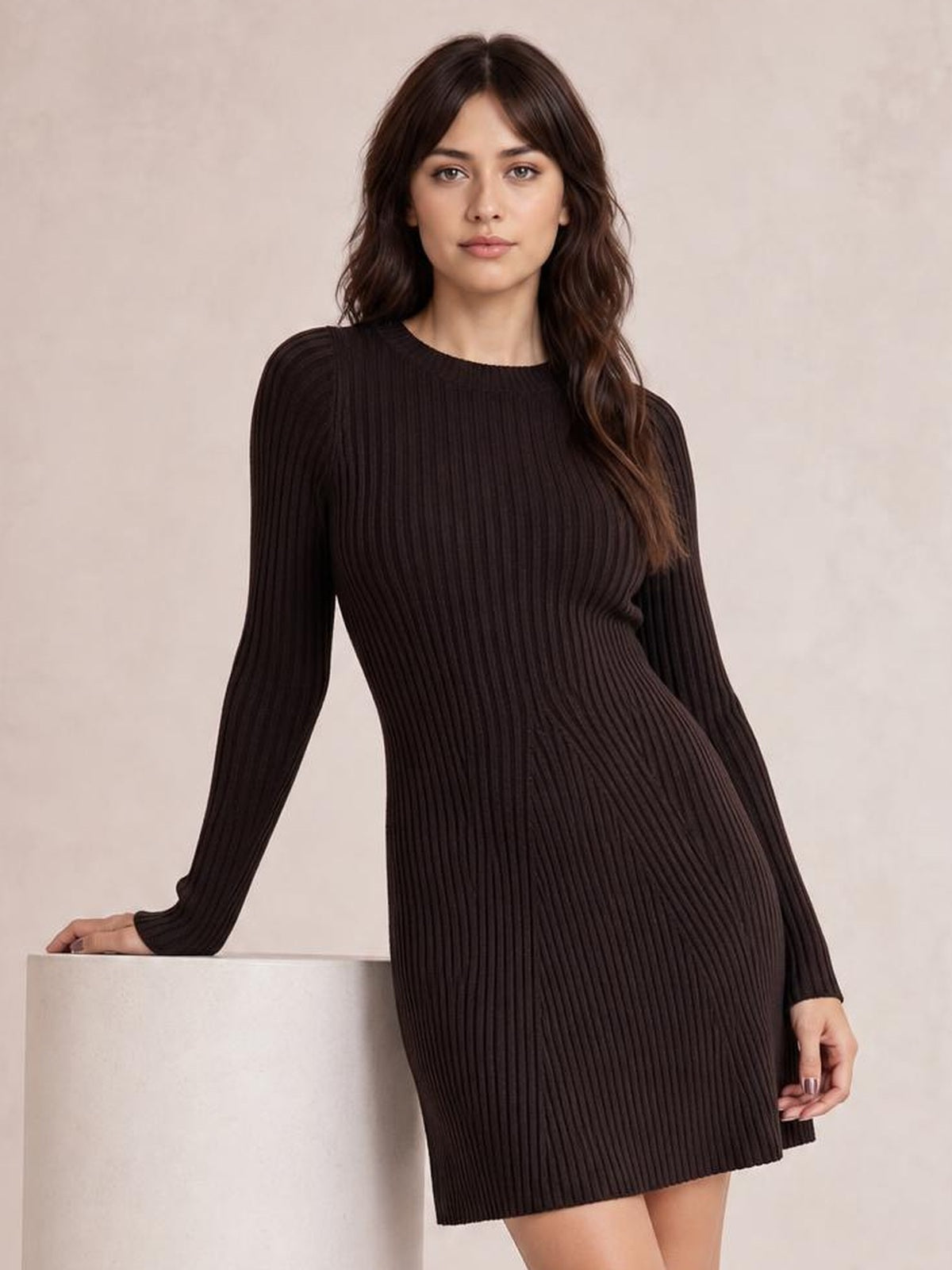 Model poses in a dark brown long sleeve ribbed knit dress with a round neckline, fitted silhouette, stretchy texture, and short straight hem.