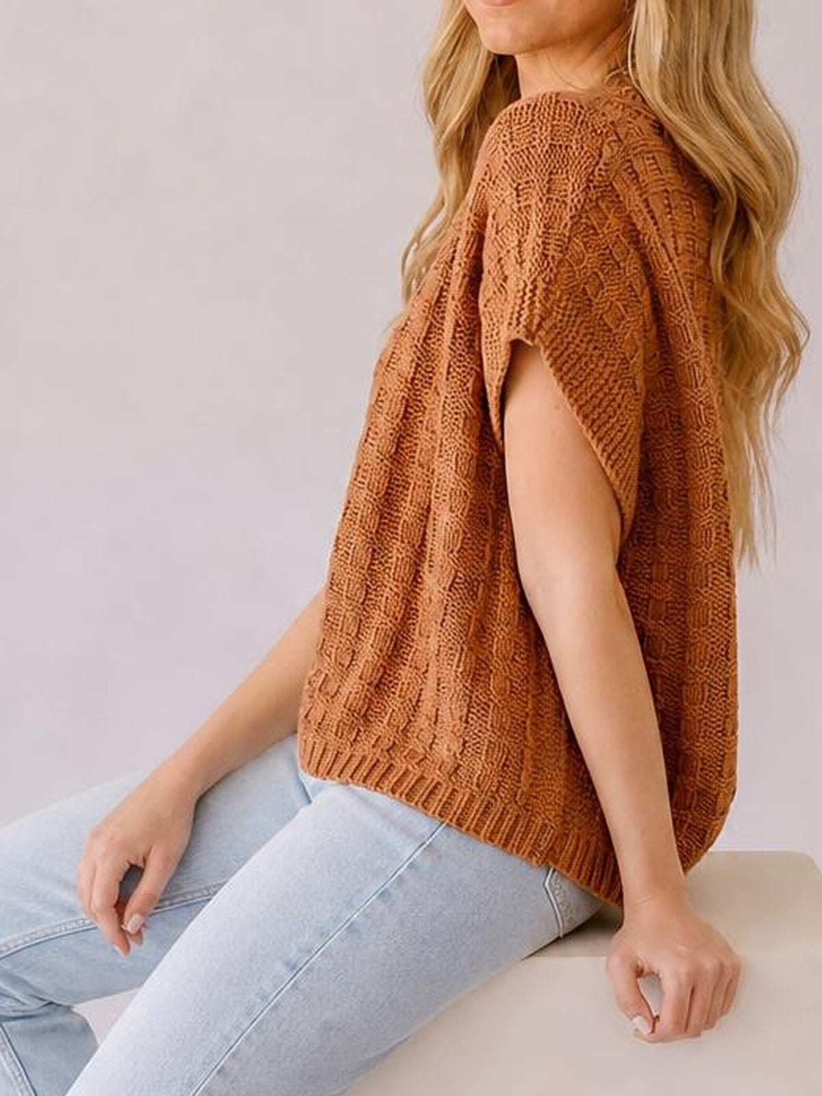 A seated model wears a rust-brown round-neck cap-sleeve sweater vest with textured knit construction, a relaxed silhouette, and ribbed hem.