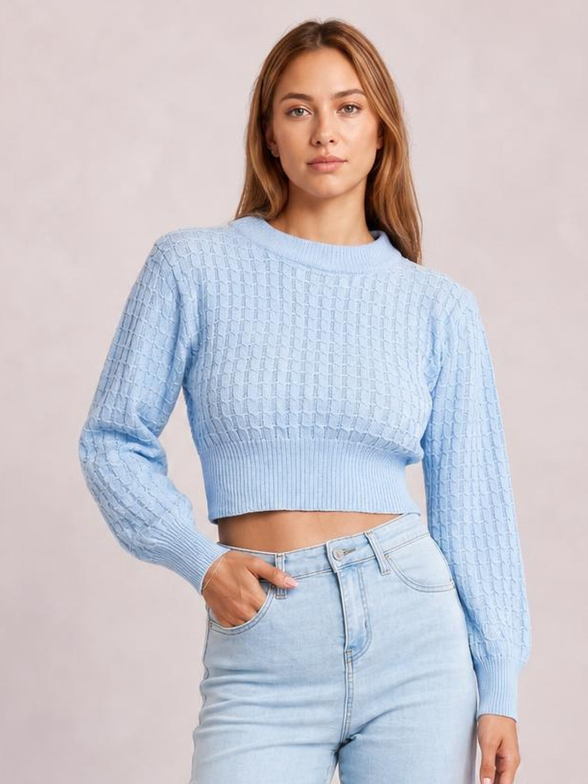 A model poses in a light blue cropped sweater with a round neck, long sleeves, textured knit construction, and ribbed cuffs and hem.